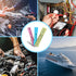 50 Pcs Heat Shrink Butt Connectors Kit, Waterproof Insulated Marine Automotive Crimp Terminals for Electrical Wiring