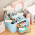 Marbrasse Pen Organizer with 2 Drawers, Multi-Functional Pencil Holder for Desk Accessories