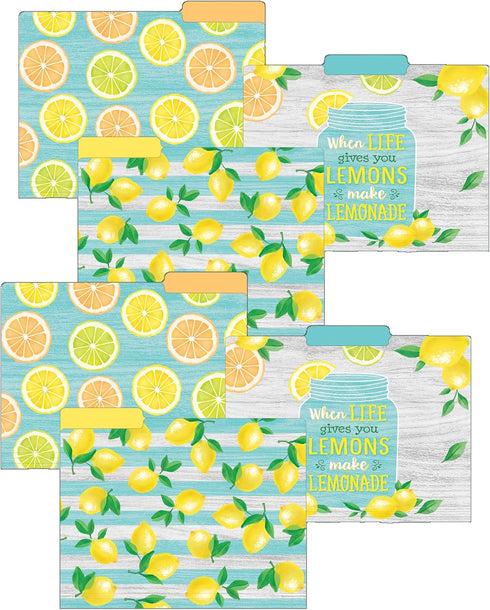 Teacher Created Resources Lemon Zest File Folders, 12 Per Pack, 2 Packs