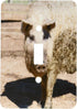 Mangalitsa Pig Toggle Switch, 3dRose, Hungary, Eastern Europe, lsp_189017_1