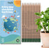 Sprout Wood-Cased Pencils, EVERYDAY EARTH, HB Pre-Sharpened Graphite Plantable Wooden Pencils, 12 Pack