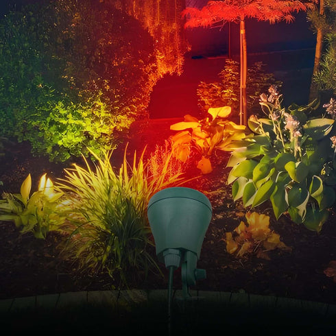 2 5FT OSKOS LED Christmas Spotlight, Outdoor Waterproof Floodlight, with Extra Lenses (Red, Green), Yard Stake