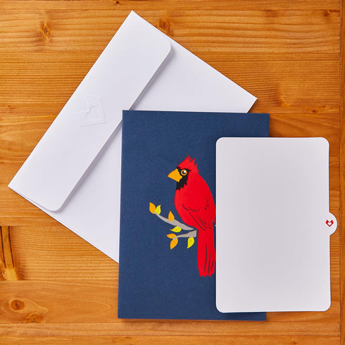 Lovepop Everyday Pop-Up Card, 3D Thinking of You Greeting Card for Her and Him - 5" x 7" Blank Note Card