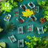12 Macarrie Pcs Insect Specimens for Kids Bug Collection Kit Real Specimens of Various Butterflies Beetles Classroom