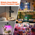 Puanticn Dimmable 25x6cm 1 Rechargeable Battery Operated Hanging Light, Pendant Light with Remote, Detachable Black