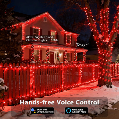 66FT 200 Dimmable Brizled Smart Red Valentines Lights, LED Color Changing Christmas String Lights App & Voice Control