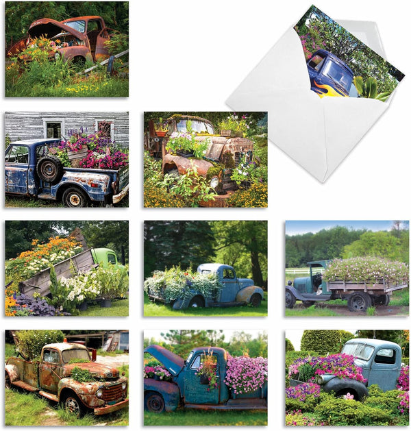 The Best Card Company 10 Assorted Thank You Notes Bulk Box Set, 4 x 5.12 Inch with Envelopes (10 Designs)