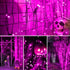 500 Lights,164 8 kemooie LED Pink Valentines Day FT String Lights Outdoor Plug in Waterproof with Twinkle Modes