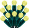 SWEET SHINE 100 Warm White Raspberry One-Piece LED Christmas Lights, 33 ft Green Cord