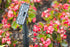 ENBRIGHTEN Mega Stake LED Landscape Light, 14 Tall, Durable, 54483, Black