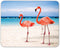 Flamingos Walking on The Beach Mouse Pad - Non-Slip Rubber Mousepad for Home, School, Office