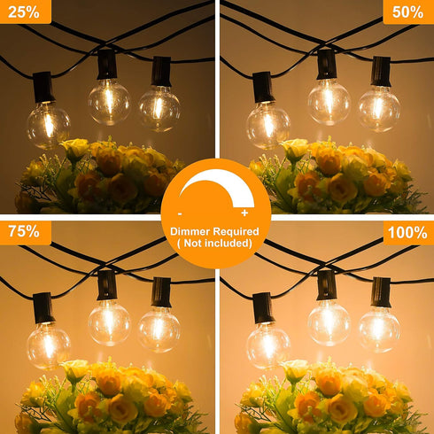 50FT G40 Dimmable 25 Bulbs Commercial Bosceos Outdoor LED Globe String Lights Waterproof Shatterproof Light Strings