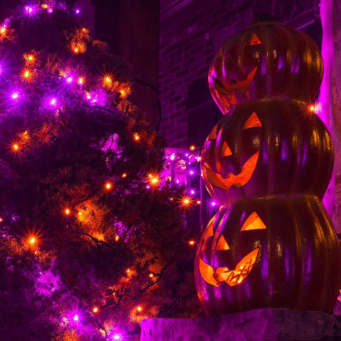 Dazzle Bright Purple and Orange Halloween Lights, 2 Pack Total 100LED 32FT Waterproof Mini String Lights for Decorations