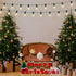 C7 25Ft 27 Bulbs LED Frosted White String Lights Outdoor Christmas Decorations String Lights with LED Frosted White