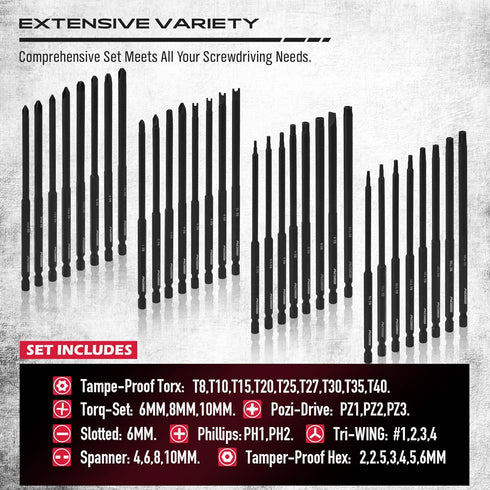 Set: 32-Piece S2 6" PoziDriv, 1/4" Extra Long Security Bit Steel Screwdriver Drill Bits for Tamper-Proof Screws, Torx