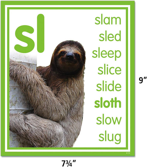 Teacher Created Resources Bulletin Board Colorful Photo Cards Digraphs and Blends (TCR8503)