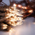 612 100 18 20 (Pack 2) Vermont Clear Mini Christmas String Lights on Brown Wire Cord, UL Approved for Indoor/Outdoor