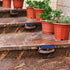 XTF2015 (2 Pack, Solar Step Lights Outdoor, Motion Sensor Lights, Copper Outdoor Step Lights, Waterproof LED Solar