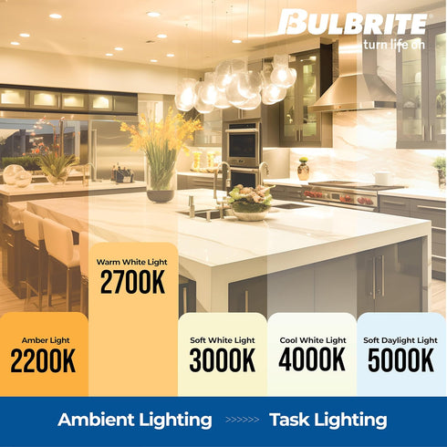 Bulbrite 705140 Bulb, 1 Count (Pack 1), Light of Clear