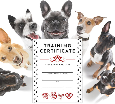 Pet Training Certificate of Completion | 50 pk 8.5 x 11” for Dog Trainers and Service Animal Graduation