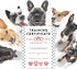 Pet Training Certificate of Completion | 50 pk 8.5 x 11” for Dog Trainers and Service Animal Graduation