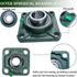 2 Pack UCF207-22 Pillow Block Bearing, Square Flange 4 Bolt Mounted, 1-3/8" Bore, Solid Cast Iron Base