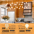 Dimmable Bulbs 60W E26 G25/G80 6W 2200K Bulb, 2 PACK Bulbs Globe LED Vintage Edison Light Equivalent, Base LED Amber