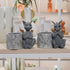Guichifun Dragon Pen Holders, Set of 2 Cute Decor Figurines for Desk, Fashion Organizers for Women and Kids