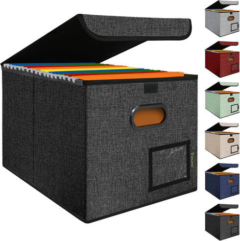 BALEINE File Organizer Box with Lid, Collapsible File Folder Organizer with Plastic Slide for Office Document Storage