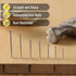 Mr. Pen Nail Assortment Kit, 1500 Pcs, Assorted Sizes Brad Head and Flat Head Nails for Hanging Pictures