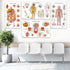12 18x30 Human Anatomy Posters - Medical Posters, Circulatory, Skeletal, Male Female Muscular, Lymphatic, Reproductive