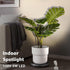 2 Pack 3W 3000K 120V 5.9 SUNVIE LED Up Lights Indoor, Spot Lights for Indoor Use with Warm White, Spotlights for Plants