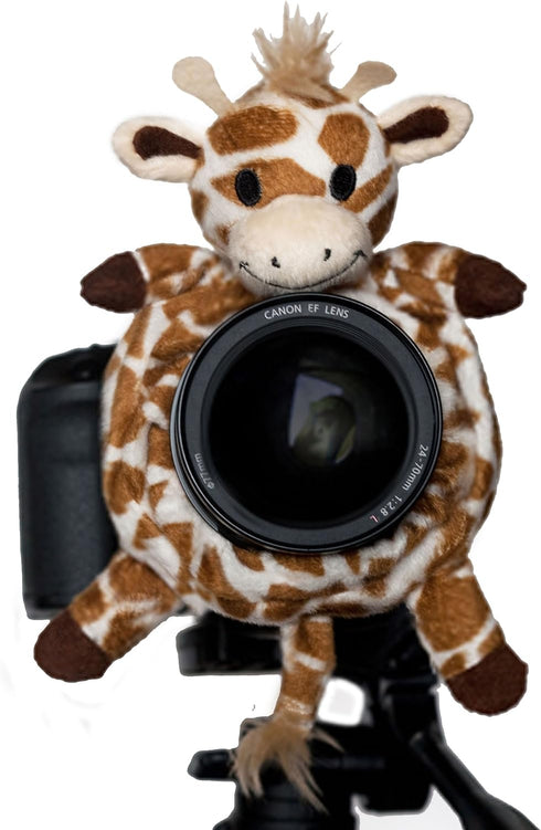 Shutter Huggers Giraffe Shutter Hugger GIR001