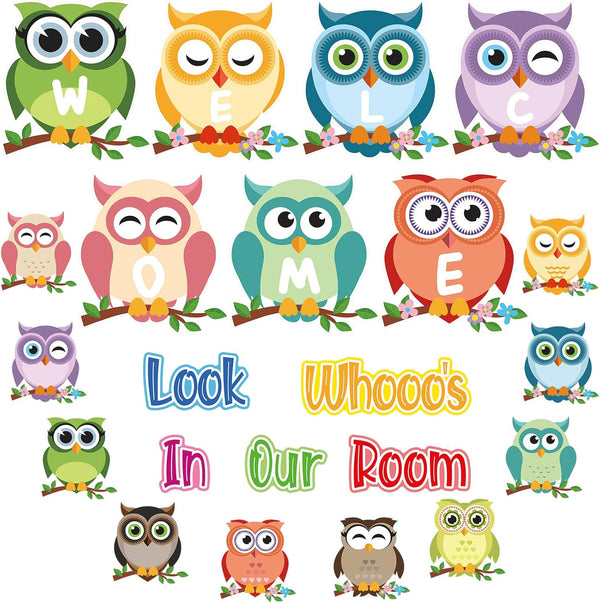 TaoBary 67 Pcs Colorful Large Owls Bulletin Board Decor Set - Owl Cut Outs for School Classroom Party Decorations