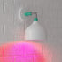 A19 Bulbs, 60W 9W E26 Non-Dimmable, 10,000 2-Pack Amazon Basics Red Color Party LED Light Equivalent, Energy Efficient