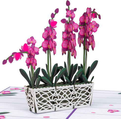Paper Love 3D Orchids Pop Up Card, Gift for Birthday, Wedding, Anniversary, 5" x 7" Cover with Envelope