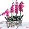 Paper Love 3D Orchids Pop Up Card, Gift for Birthday, Wedding, Anniversary, 5" x 7" Cover with Envelope