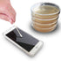 15 Tryptic Soy Agar (TSA) Plates by Evviva Sciences - Prepoured TSA Petri Dishes - Excellent Product and Performance