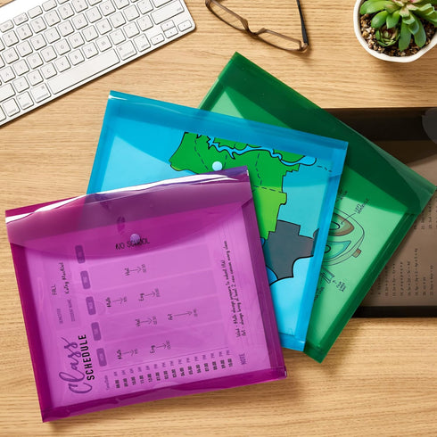 Avery Document Holder Envelope, Holds 450 Letter/A4-Size Sheets, 4-Pack (73556)