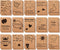 feela 30 Pack Kraft Notebooks, 15 Designs A6 Cute Mini Pocket Notebooks, Lined Motivation Small Journal, 4.1 x 5.8 in