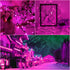 YAOZHOU 2 Pack 144ft 400LED 8 IP44 Valentines Day Solar Christmas String Lights Outdoor Pink Fairy Lights with Modes