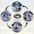 VIOYOUNS Solar Garden Decor Dragon Statues with Solar Lantern,Dragon Figurine Lights Outdoor Decorations for Yard Lawn