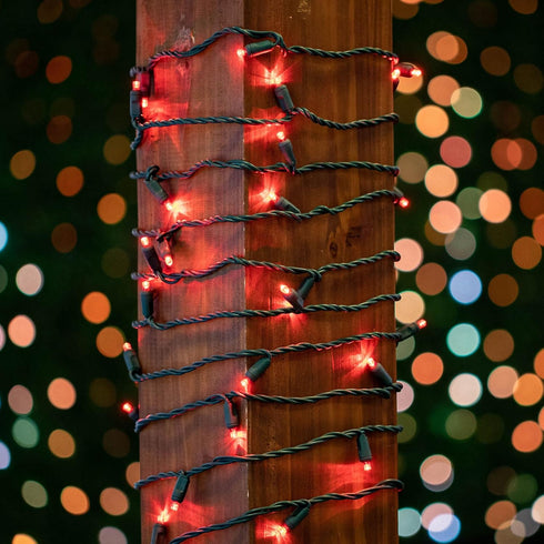 Novelty Lights 34FT 100 LED Christmas String Lights, Indoor Outdoor Mini Light Set, Commercial Grade, 40,000 Hours