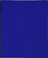 Lion 2-Pocket Plastic Folder with Fasteners, Dark Blue, Pack of 4 (92310-BL-4P)