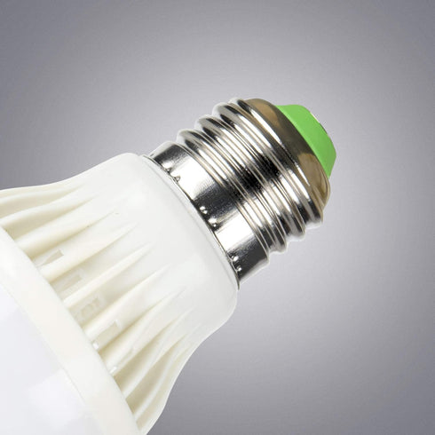 5V 6V Screw Medium Base LED Light Bulb for 5 Volt 6 Volt Battery Power Source, Warm White 3000K, Low Voltage Miniature