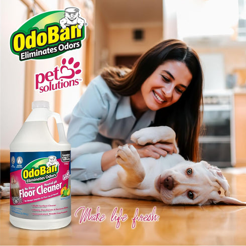 3 OdoBan Pet Solutions No Rinse Neutral pH Floor Cleaner Concentrate, Made in the USA, Splash O' Citrus Scent, Gallons