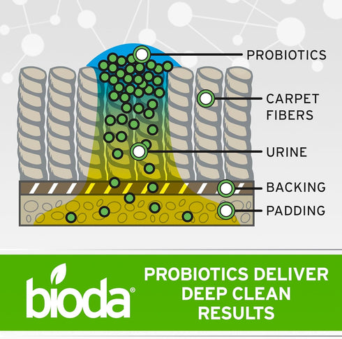 1 Bioda Multi-Purpose Probiotic Enzyme Cleaner and Deodorizer | Professional Strength | Trash Can Deodorizer, Pet