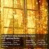 240LED 88Ft Connectable String Lights Indoor Outdoor Clear Wire | Warm White Christmas Lights | Twinkle Fairy Light