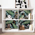 Tropical Green Leaves Wallpaper, Peel and Stick Self Adhesive for Cabinets, Waterproof 17.5" x78.7" Decor