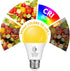 Bulbs 60W Bulb 9W 2000K A19 2 Pack Flaspar Dusk to Dawn LED Yellow Bug Light Outdoor Equivalent, Amber Yellow Bug Light